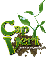 cap-vert1